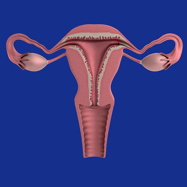  Ženy, pozor na menopauzu a atrofickú vaginitídu!